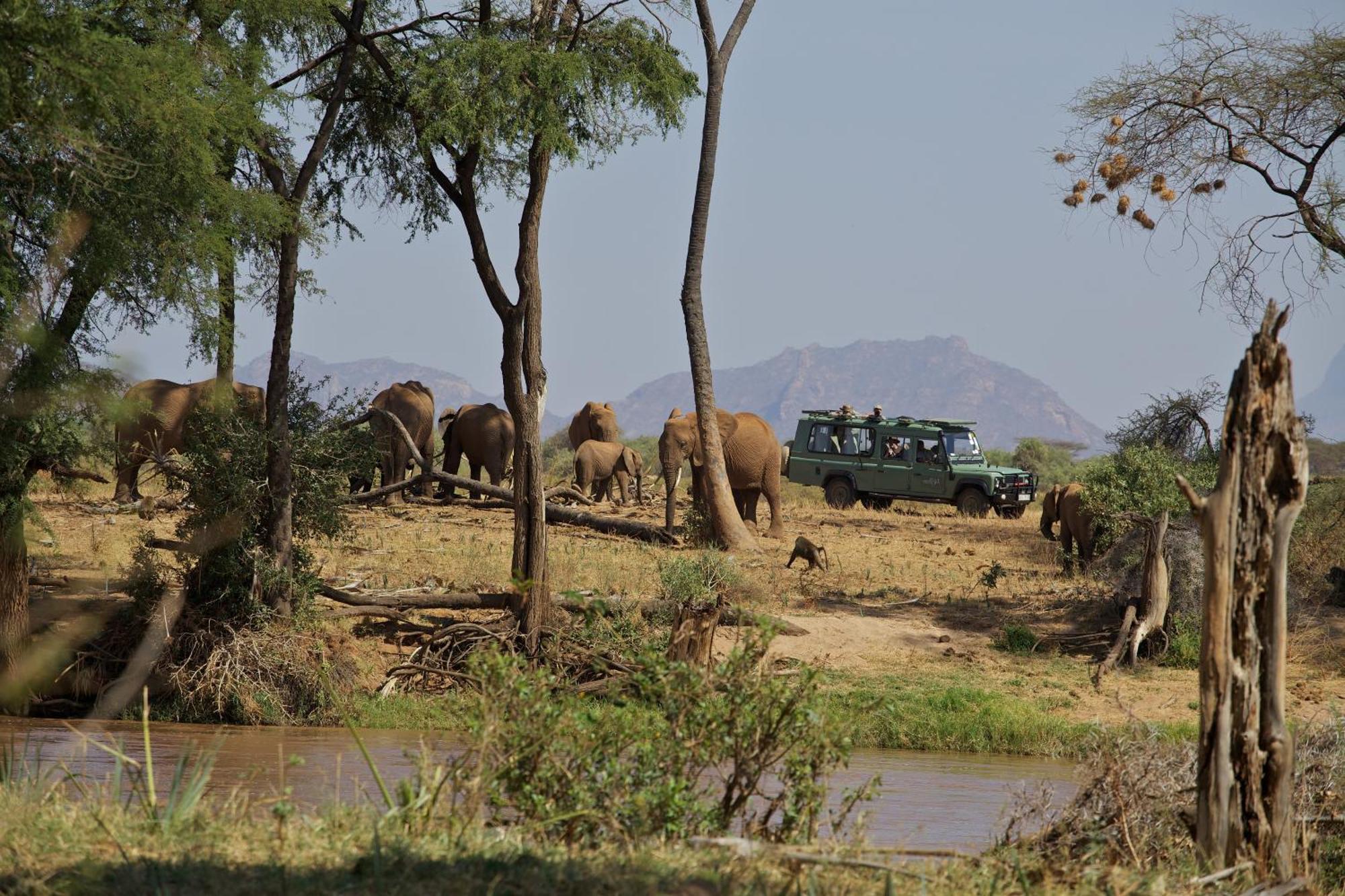 Вілла Ashnil Samburu Camp Archers Post Екстер'єр фото