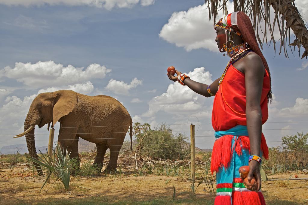 Вілла Ashnil Samburu Camp Archers Post Екстер'єр фото